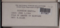 Image Associated With the Occurence